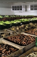 Воздухоохладители для овощей и фруктов  - <ro>Изображение</ro><ru>Изображение</ru> #1, <ru>Объявление</ru> #276698