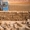 крымский ракушняк г.Саки - <ro>Изображение</ro><ru>Изображение</ru> #1, <ru>Объявление</ru> #96545