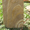 Песчаник, изделия из природного камня - <ro>Изображение</ro><ru>Изображение</ru> #2, <ru>Объявление</ru> #89714