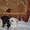 Элитные щеночки Чихуахуа - <ro>Изображение</ro><ru>Изображение</ru> #2, <ru>Объявление</ru> #183413