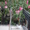 олеандр розовый продажа в Луганске - <ro>Изображение</ro><ru>Изображение</ru> #2, <ru>Объявление</ru> #304861