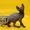 Котята донского сфинкса из питомника - <ro>Изображение</ro><ru>Изображение</ru> #3, <ru>Объявление</ru> #537621
