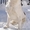 Азиатская овчарка - <ro>Изображение</ro><ru>Изображение</ru> #1, <ru>Объявление</ru> #552056