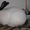 кролики мясных и элитно-меховых пород - <ro>Изображение</ro><ru>Изображение</ru> #3, <ru>Объявление</ru> #594674