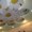 Натяжные потолки, Луганск и область. - <ro>Изображение</ro><ru>Изображение</ru> #2, <ru>Объявление</ru> #915637