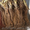 САЖЕНЦЫ FRIGO клубники Альбион Монтерей - <ro>Изображение</ro><ru>Изображение</ru> #10, <ru>Объявление</ru> #1054053