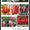 Цветы оптом, оптовая продажа тюльпанов  к 8 марта в Луганске - <ro>Изображение</ro><ru>Изображение</ru> #2, <ru>Объявление</ru> #1524693