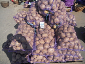 продам картофель оптом черниговский район - <ro>Изображение</ro><ru>Изображение</ru> #4, <ru>Объявление</ru> #367951
