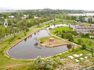  г.Бердянска  marina-vaus@rambler.ru