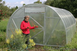 ПОЛЬША - женщины для работы в теплицах