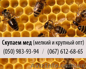 Купим пчелиный мед (куплю мед) крупным и мелким оптом в Луганске - <ro>Изображение</ro><ru>Изображение</ru> #1, <ru>Объявление</ru> #830594