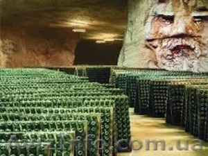  Завод Шампанских вин . - <ro>Изображение</ro><ru>Изображение</ru> #2, <ru>Объявление</ru> #842670