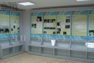 Мебель для экспозиций и музеев - <ro>Изображение</ro><ru>Изображение</ru> #1, <ru>Объявление</ru> #964151