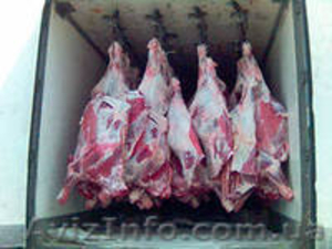 Продадим большим и мелким оптом говядину, свинину - <ro>Изображение</ro><ru>Изображение</ru> #1, <ru>Объявление</ru> #1086443