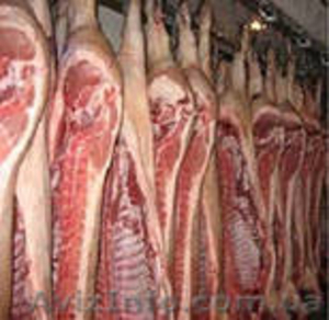 Продадим большим и мелким оптом говядину, свинину - <ro>Изображение</ro><ru>Изображение</ru> #2, <ru>Объявление</ru> #1086443