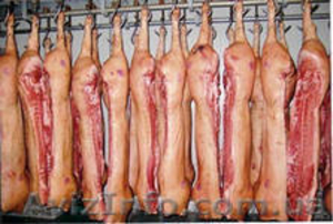Продадим большим и мелким оптом говядину, свинину - <ro>Изображение</ro><ru>Изображение</ru> #3, <ru>Объявление</ru> #1086443