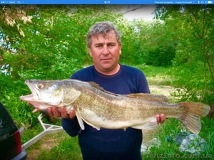 Рыбалка и отдых на реке Дон для всей семьи . - <ro>Изображение</ro><ru>Изображение</ru> #1, <ru>Объявление</ru> #1571781