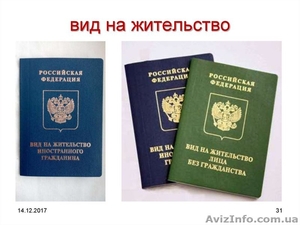 Миграционные услуги