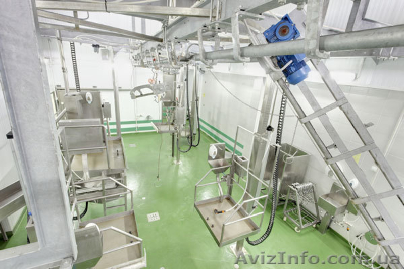 Линии убоя свиней до 100 голов в смену от 250000 гривен. - <ro>Изображение</ro><ru>Изображение</ru> #4, <ru>Объявление</ru> #182679