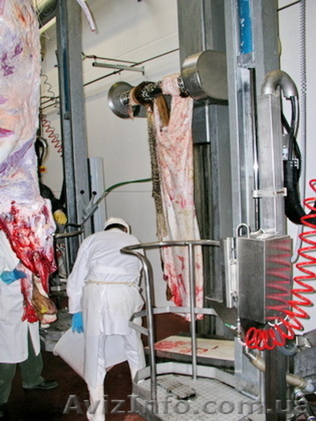 Линии убоя свиней до 100 голов в смену от 250000 гривен. - <ro>Изображение</ro><ru>Изображение</ru> #1, <ru>Объявление</ru> #182679