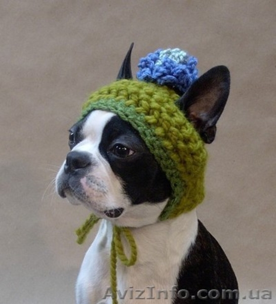 ВЯЗАЛЬНЫЕ МАШИНЫ ВЕРИТАС  &  KNITTING MACHINE VERITAS - <ro>Изображение</ro><ru>Изображение</ru> #5, <ru>Объявление</ru> #218605