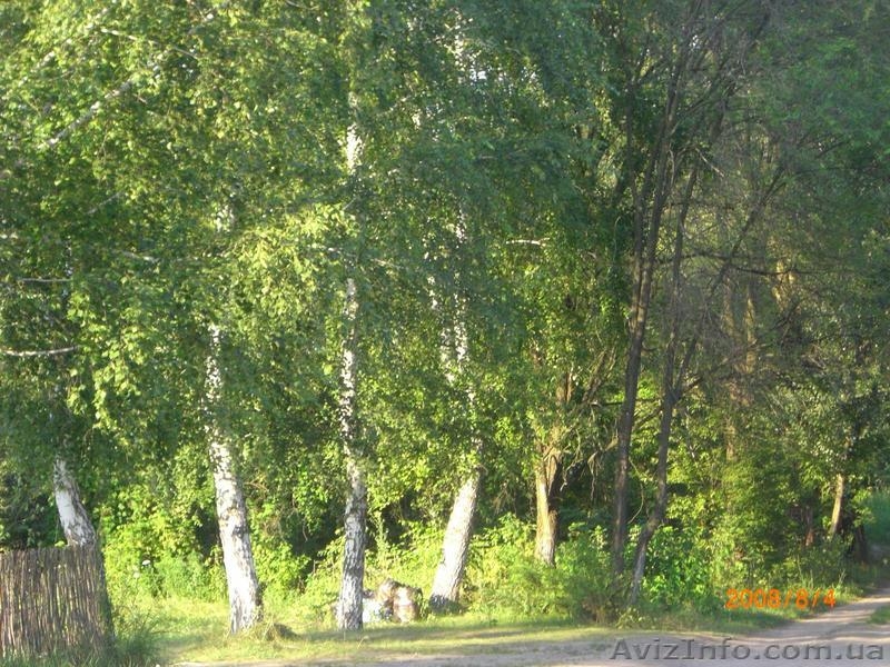 Продам остров "Ляды" - <ro>Изображение</ro><ru>Изображение</ru> #1, <ru>Объявление</ru> #198929