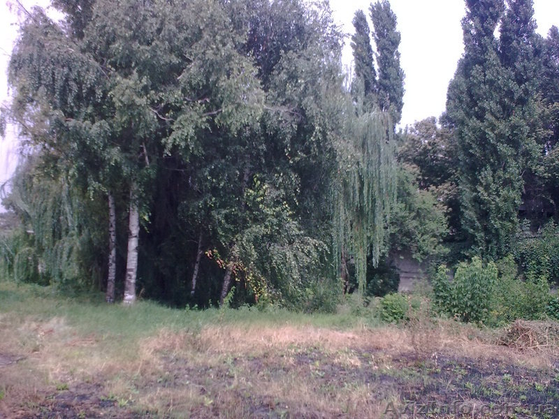 yakunin.dmitriy@mail.ru - <ro>Изображение</ro><ru>Изображение</ru> #5, <ru>Объявление</ru> #360017