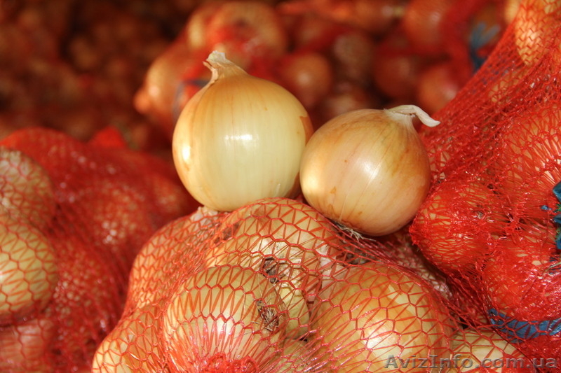 ч/пДар поля 0502913666/0955255888 - <ro>Изображение</ro><ru>Изображение</ru> #1, <ru>Объявление</ru> #371435