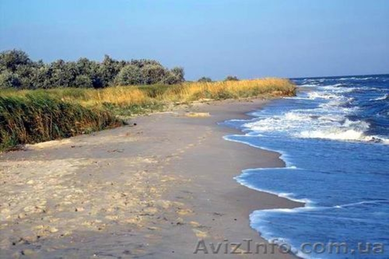 Предлагаем вашему вниманию  - <ro>Изображение</ro><ru>Изображение</ru> #1, <ru>Объявление</ru> #650152