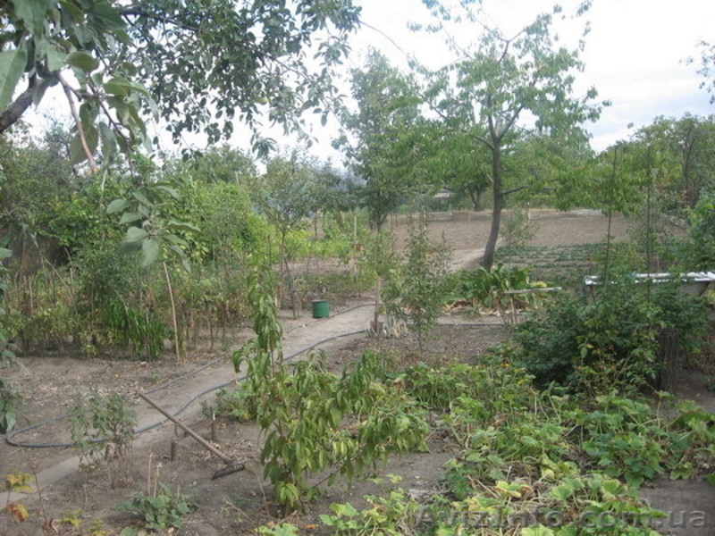 Дом, Луганск в 5км, Лутугино р., п. Георгиевка - <ro>Изображение</ro><ru>Изображение</ru> #10, <ru>Объявление</ru> #690688