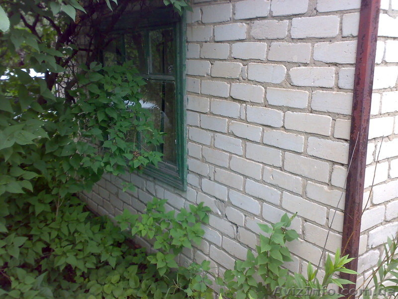 Продам дачу Остр-Мог,в черте города,от хозяина - <ro>Изображение</ro><ru>Изображение</ru> #2, <ru>Объявление</ru> #680156