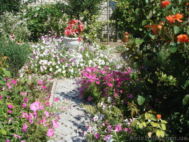 дачу для счастливого образа жизни - <ro>Изображение</ro><ru>Изображение</ru> #3, <ru>Объявление</ru> #724143