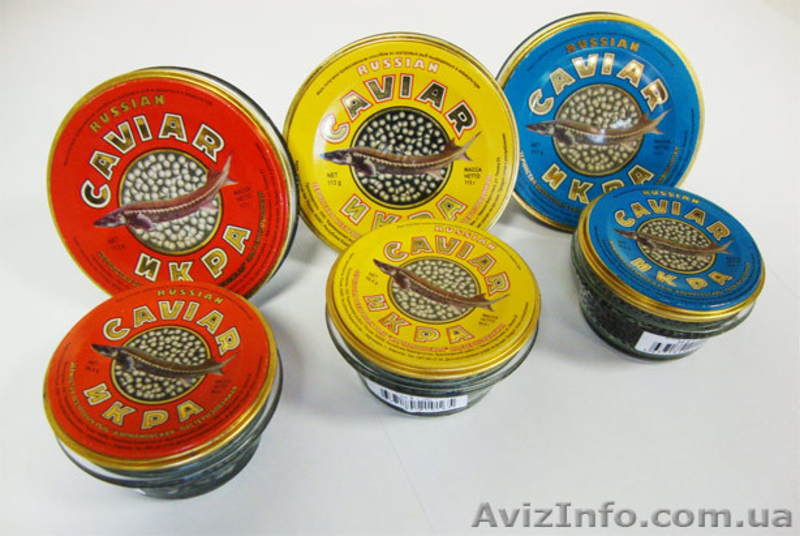 Икра породы осетровых черная Hayko (Хайко) - <ro>Изображение</ro><ru>Изображение</ru> #4, <ru>Объявление</ru> #741045