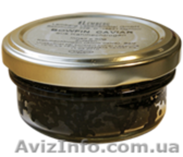 Икра породы осетровых черная Hayko (Хайко) - <ro>Изображение</ro><ru>Изображение</ru> #2, <ru>Объявление</ru> #741045