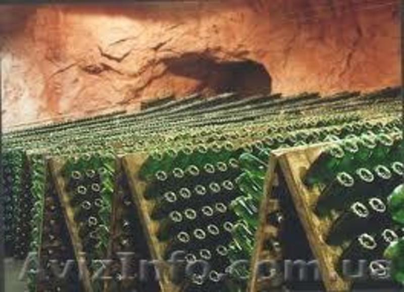 Экскурсии по интересам на любой возраст. - <ro>Изображение</ro><ru>Изображение</ru> #1, <ru>Объявление</ru> #828732