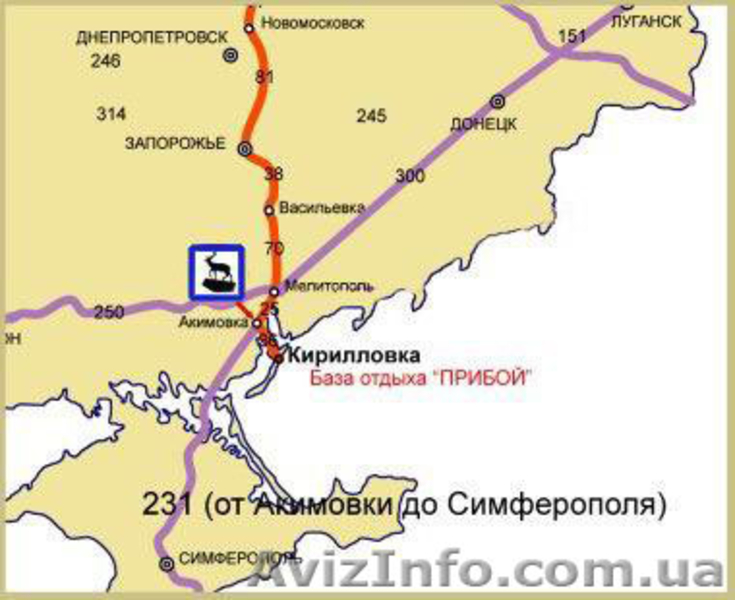 Кирилловка - Азовском море -золотой пляж. - <ro>Изображение</ro><ru>Изображение</ru> #6, <ru>Объявление</ru> #831942