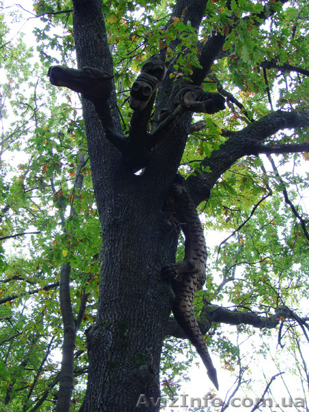Экскурсия - История Харьковской губерни дворцы, парки , дендропарк. - <ro>Изображение</ro><ru>Изображение</ru> #3, <ru>Объявление</ru> #849209