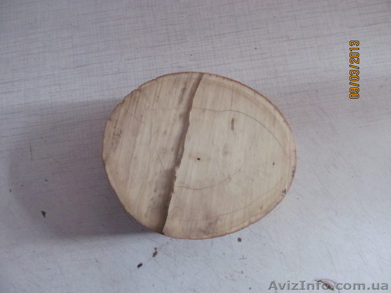 Продам фрагмент бивня мамонта - <ro>Изображение</ro><ru>Изображение</ru> #2, <ru>Объявление</ru> #863286