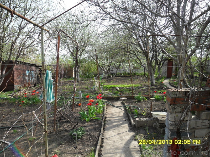 Продам дачу под Луганском - <ro>Изображение</ro><ru>Изображение</ru> #4, <ru>Объявление</ru> #894280