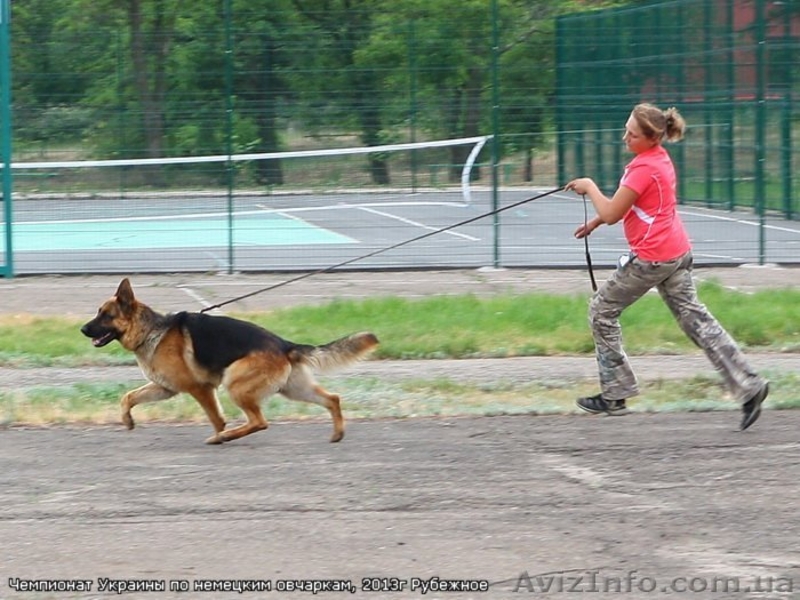 Ищу невесту!!!!! - <ro>Изображение</ro><ru>Изображение</ru> #3, <ru>Объявление</ru> #946057