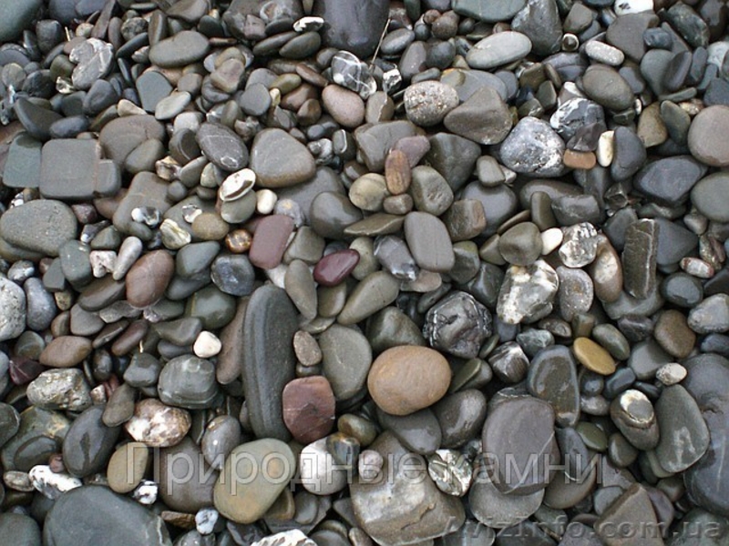 Ландшафтное бюро Сад и стиль - <ro>Изображение</ro><ru>Изображение</ru> #1, <ru>Объявление</ru> #1011553