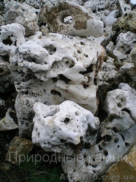 Ландшафтное бюро Сад и стиль - <ro>Изображение</ro><ru>Изображение</ru> #2, <ru>Объявление</ru> #1011553