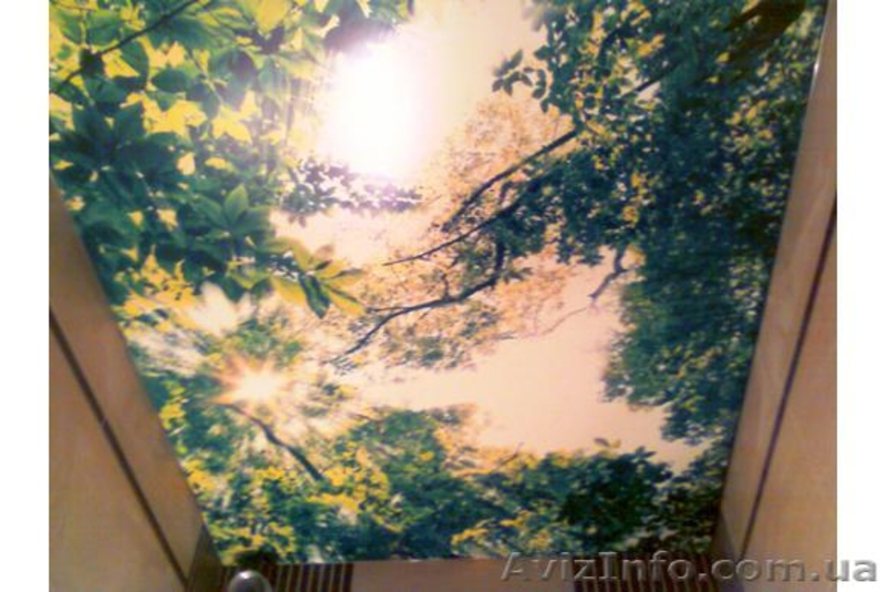 Натяжные потолки любой сложности, широких ассортимент..... - <ro>Изображение</ro><ru>Изображение</ru> #3, <ru>Объявление</ru> #1205245