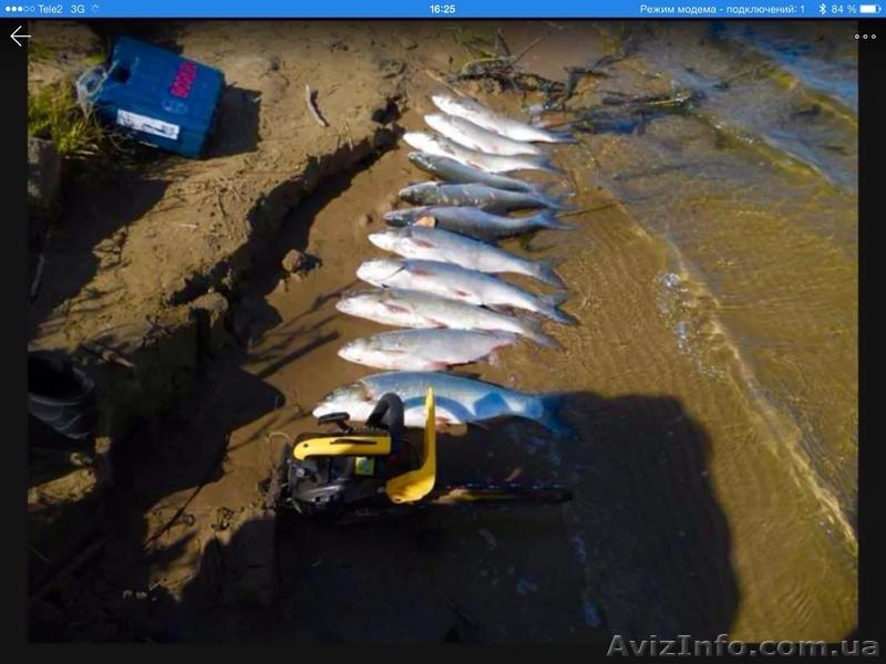 Рыбалка и отдых на реке Дон для всей семьи . - <ro>Изображение</ro><ru>Изображение</ru> #5, <ru>Объявление</ru> #1571781