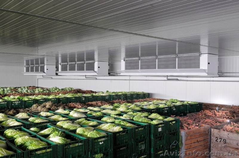 Воздухоохладители для овощей и фруктов  - <ro>Изображение</ro><ru>Изображение</ru> #3, <ru>Объявление</ru> #276698