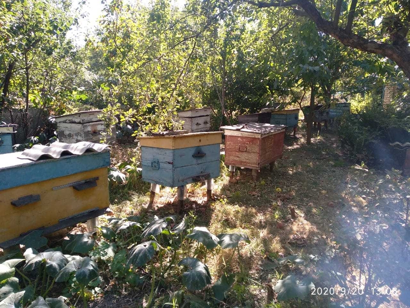 Продам дачу с пасекой на Лутугинском водохранилище - <ro>Изображение</ro><ru>Изображение</ru> #5, <ru>Объявление</ru> #1692229