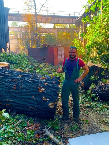 Спил и обрезка деревьев Луганск 2025 - <ro>Изображение</ro><ru>Изображение</ru> #5, <ru>Объявление</ru> #1748402